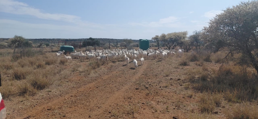 Commercial Property for Sale in Douglas Rural Northern Cape
